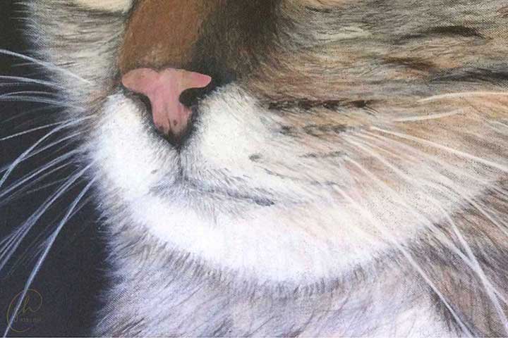 Referenzen | Bild Muckel | Detailansicht 2