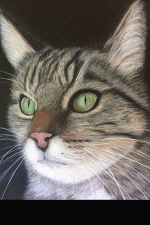 Referenzen | Vorschau des Bildes Muckel