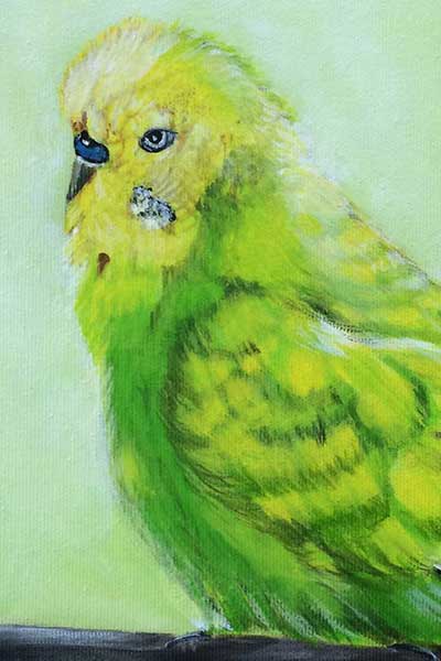 Referenzen | Bild Bennie | Detailansicht 1