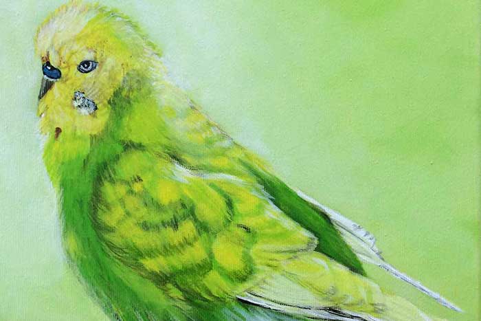 Referenzen | Bild Bennie | Detailansicht 2