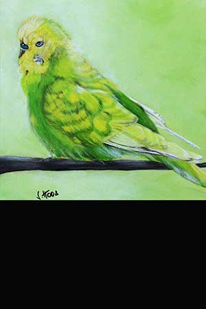 Referenzen | Vorschau des Bildes Bennie