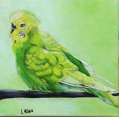 Referenzen | Bild Bennie von Susanne Hoos - Krombach