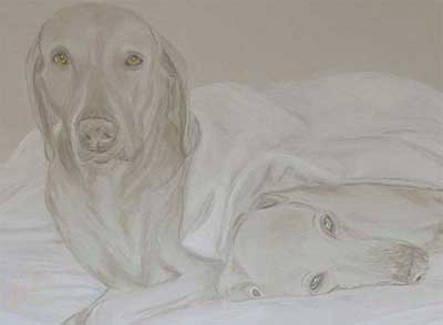 Referenzen | Bild Unzertrennliche Hundeliebe | Detailansicht 2