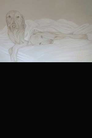 Referenzen | Vorschau des Bildes Unzertrennliche Hundeliebe