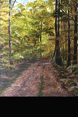 Referenzen | Vorschau des Bildes Waldspaziergang