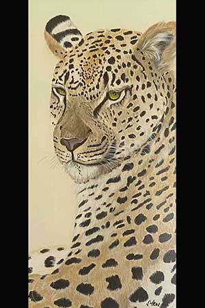 Vorschau des Bildes | Leopardenschönheit