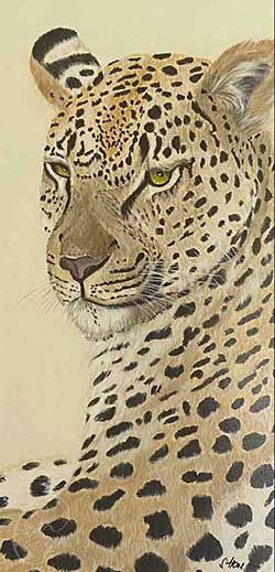 Verkauf von Gemälden | Leopardenschönheit von Susanne Hoos