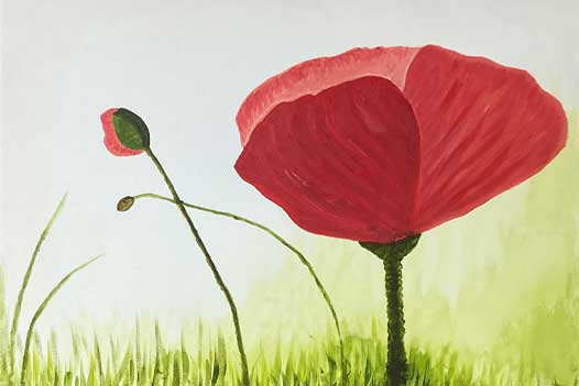 Mohnblumenwiese - ein Bild aus einem Workshop.