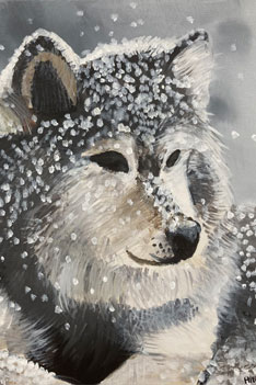 Meine Katze - Ein Bild aus einem Kinder-Workshop.