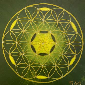 Bild eines Teilnehmer im Malkurs meditatives Malen | Mandala